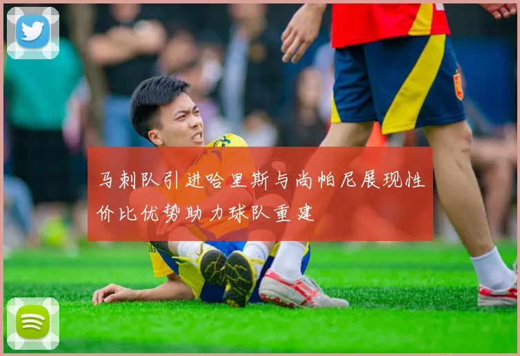 马刺队引进哈里斯与尚帕尼展现性价比优势助力球队重建